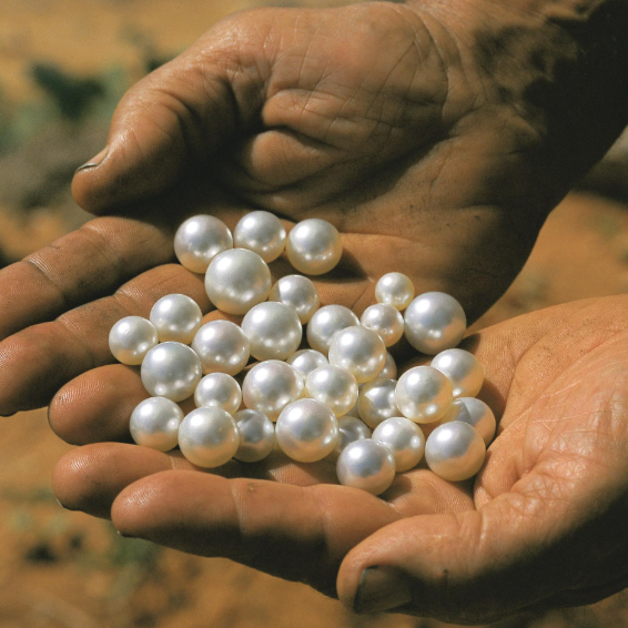 Oh, is it National Clutch…I mean, Wear Your #Pearls Day? ⚪️⚪️⚪️